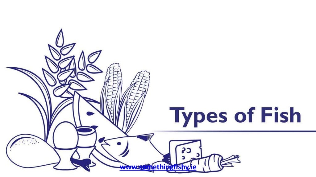 Fish Nutritional Value and Food Pyramid Something Fishy Kids Less…