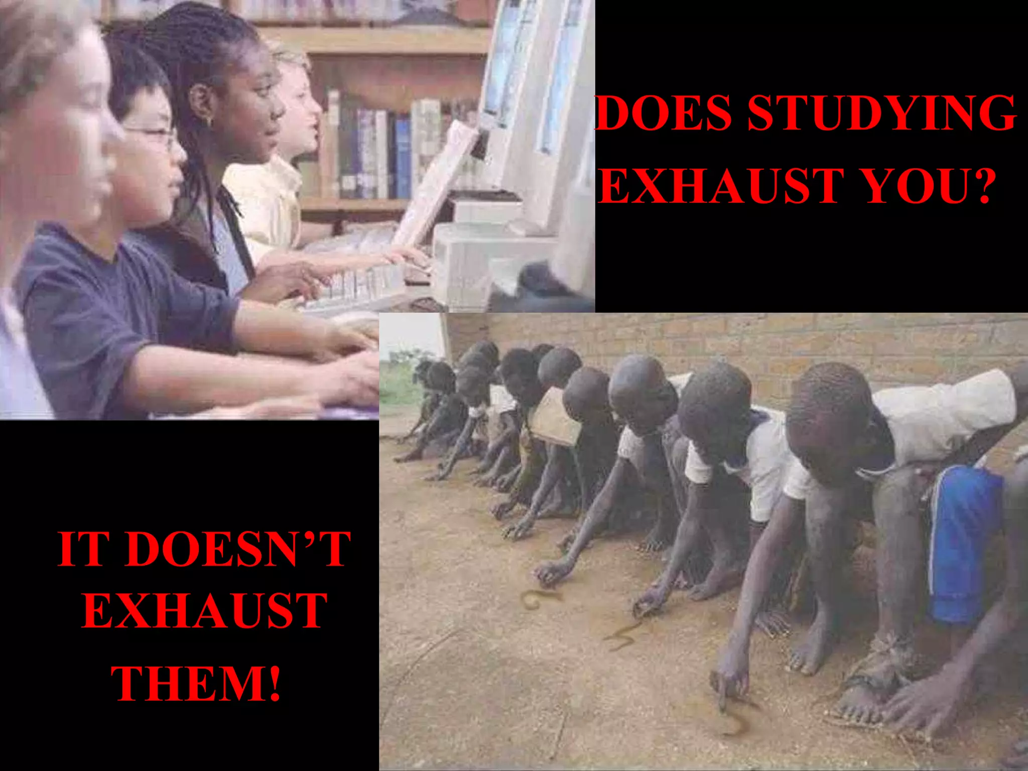 DOES STUDYING EXHAUST YOU? IT DOESN’T EXHAUST THEM!