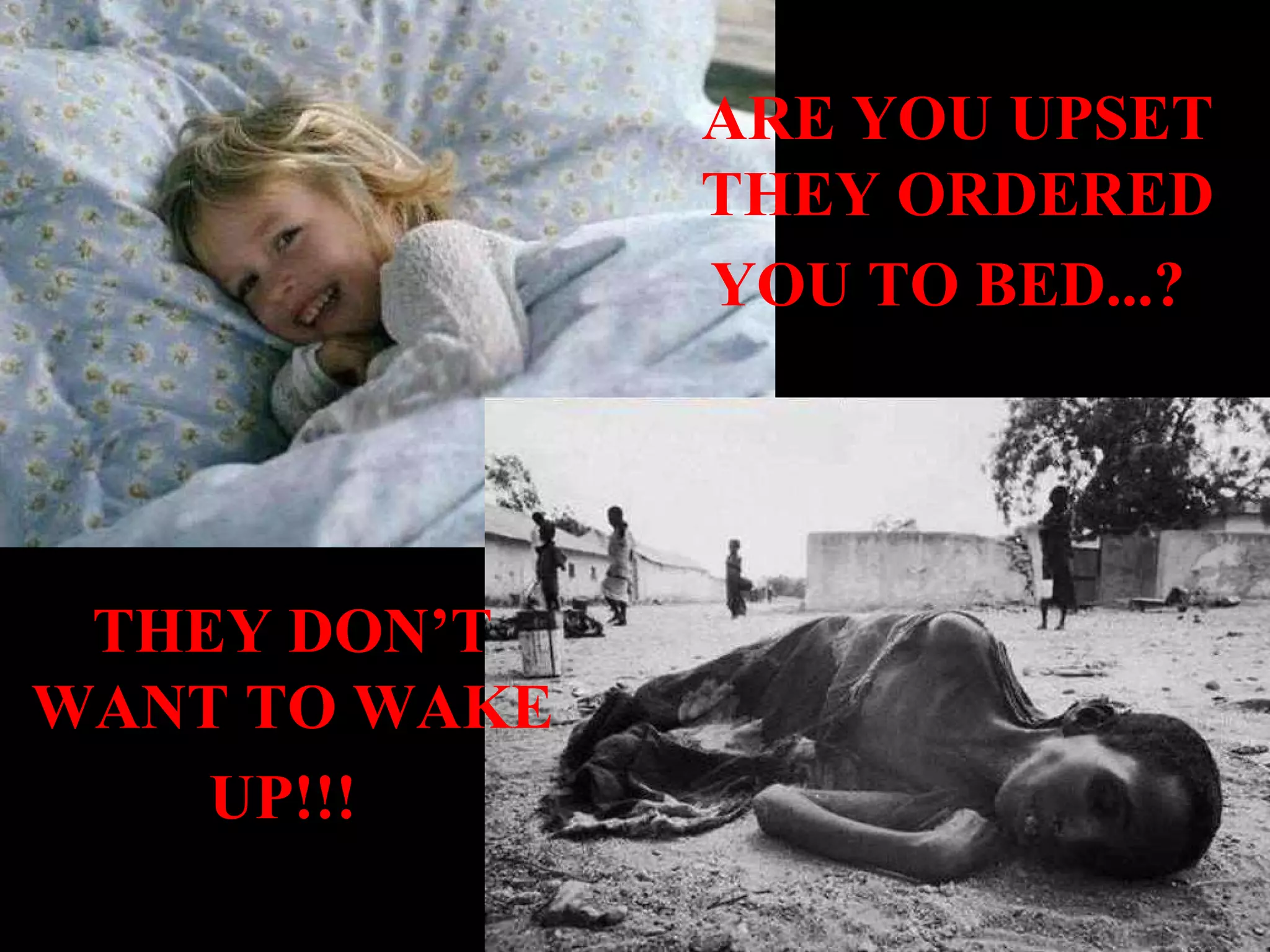 ARE YOU UPSET THEY ORDERED YOU TO BED...? THEY DON’T WANT TO WAKE UP!!!