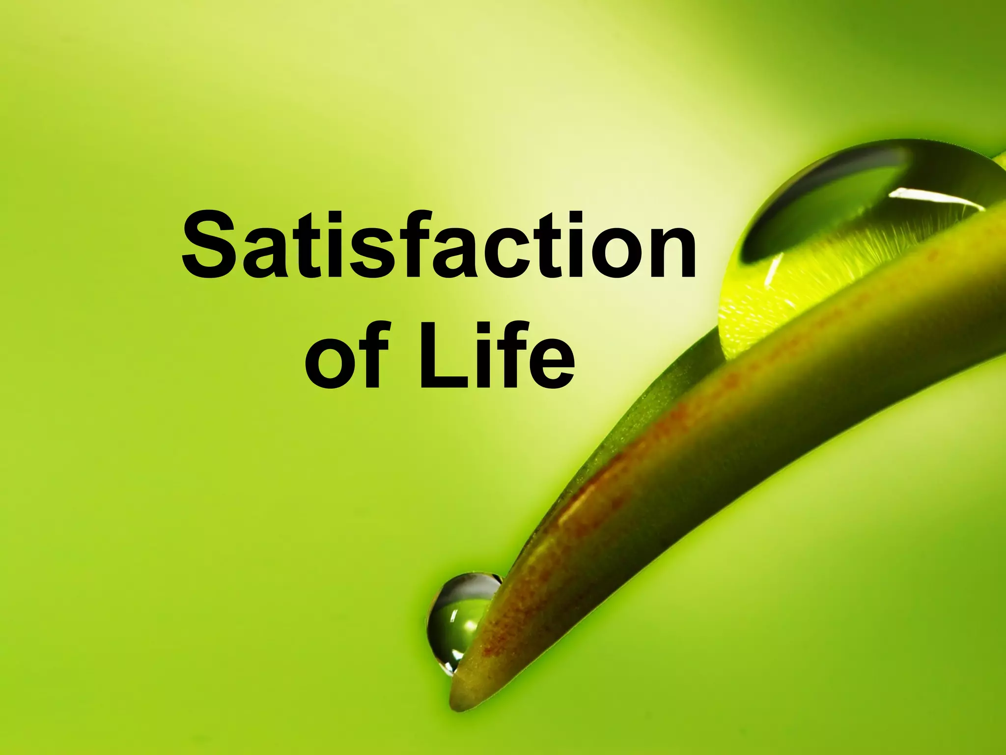 Satisfaction
of Life

 