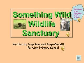Something Wild Wildlife Sanctuary  Click on me to see Something Wild’s Website Written by Prep Goss and Prep/One Gill  Fairview Primary School 