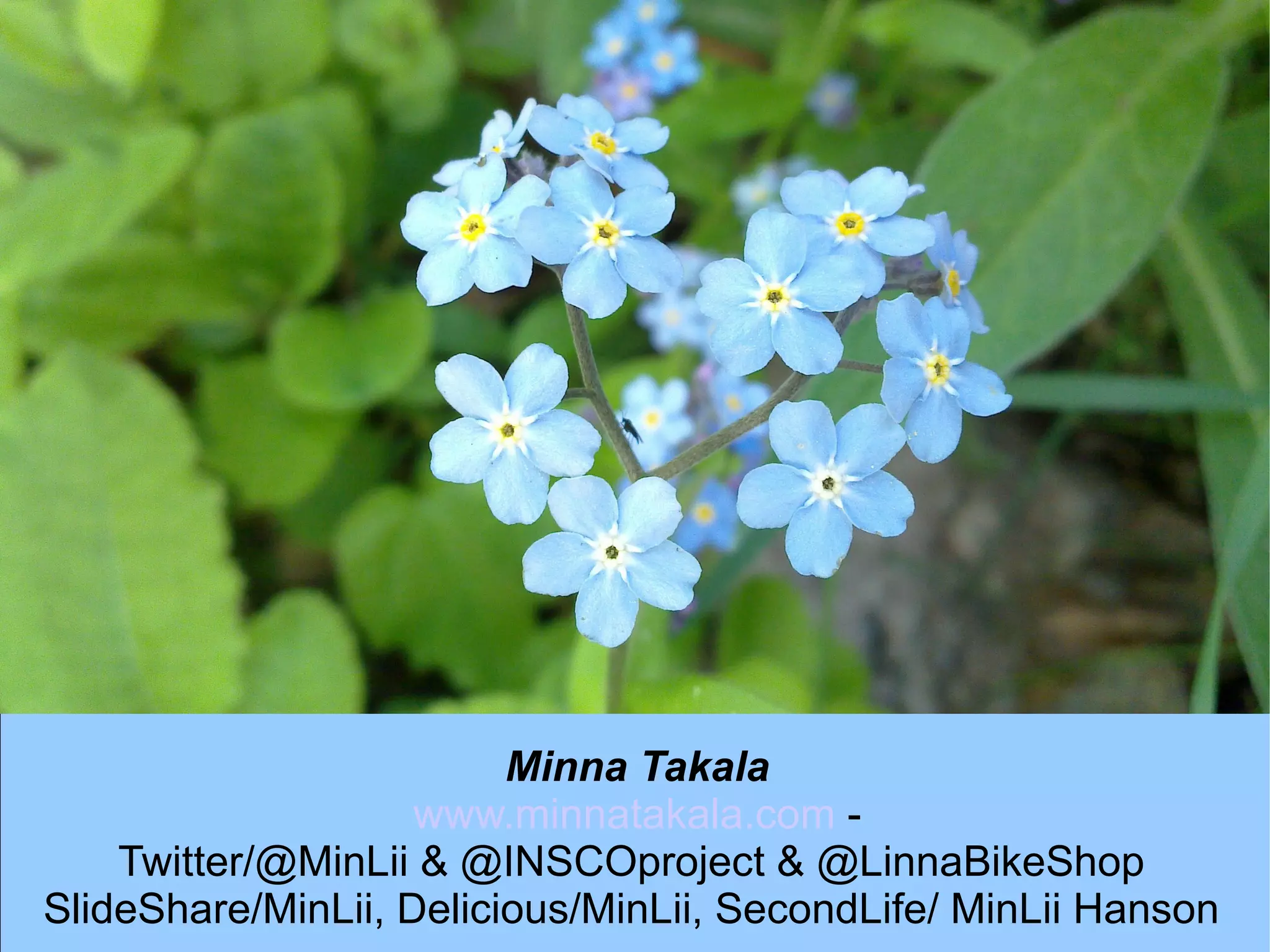 * Use of demos, prototypes and pilots * Collaboration with developer communities,  innovation networks and living labs  * Possibilities of  crowdsourcing 