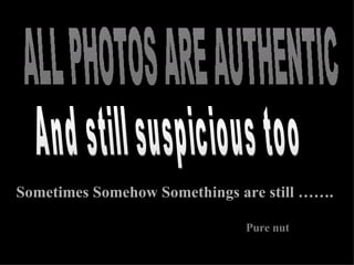 ALL PHOTOS ARE AUTHENTIC Pure nut   And still suspicious too Sometimes Somehow Somethings are still ……. 