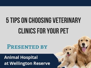 5TipsOnChoosingVeterinary
ClinicsForYourPet
Presented by
 