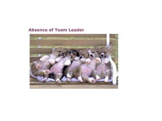 Absence of Team Leader                                                                                                                       