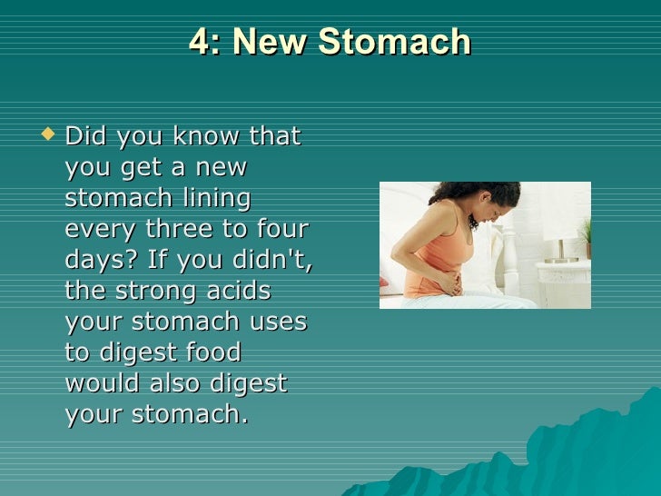 paragraph about human body facts Human anatomy or anthropotomy is a special field within anatomy it studies structures and systems of the human body, leaving the study of tissues to histology and. paragraph about human body facts Human anatomy or anthropotomy is a special field within anatomy it studies structures and systems of the human body, leaving the study of tissues to histology and.