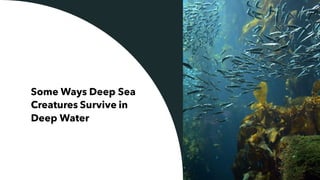 Some Ways Deep Sea
Creatures Survive in
Deep Water
 