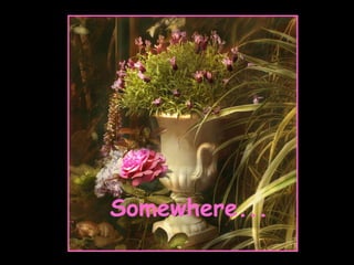 Somewhere... 