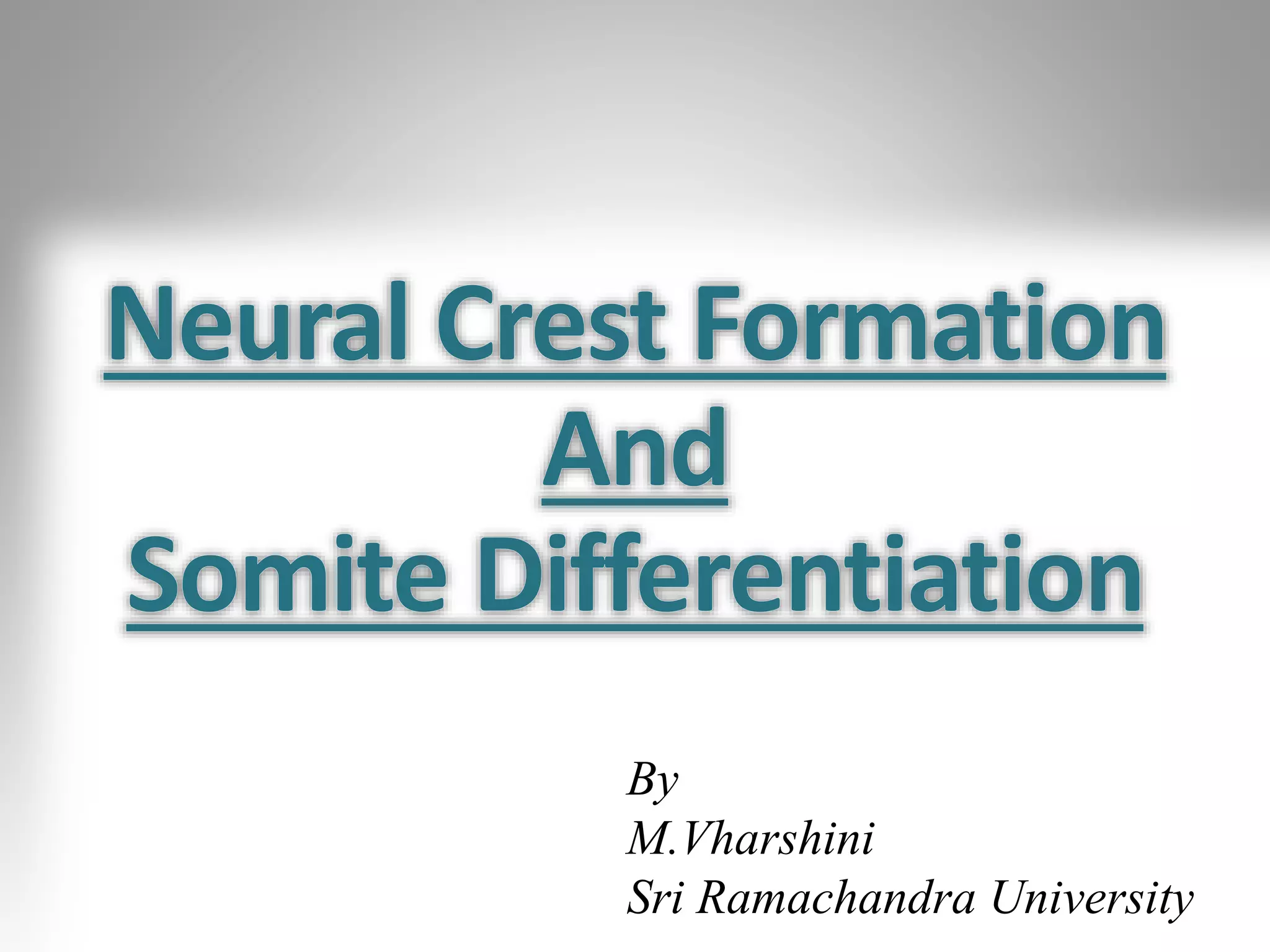 By
M.Vharshini
Sri Ramachandra University
 