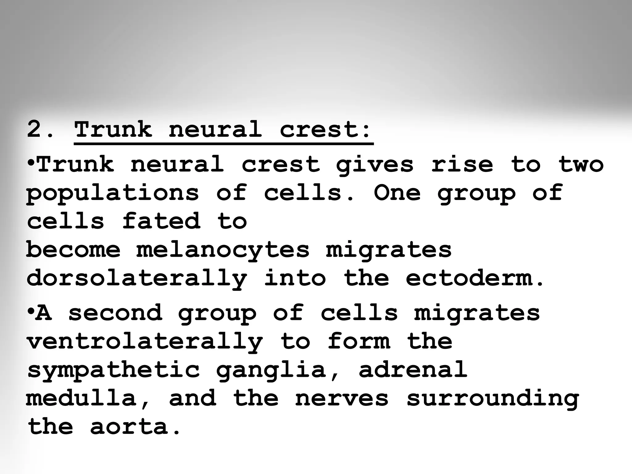 2. Trunk neural crest:
•Trunk neural crest gives rise to two
populations of cells. One group of
cells fated to
become melanocytes migrates
dorsolaterally into the ectoderm.
•A second group of cells migrates
ventrolaterally to form the
sympathetic ganglia, adrenal
medulla, and the nerves surrounding
the aorta.
 