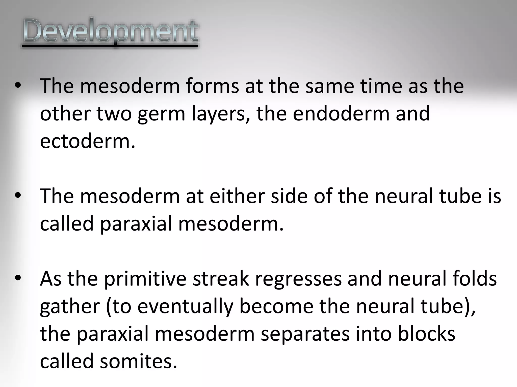 • The mesoderm forms at the same time as the
other two germ layers, the endoderm and
ectoderm.
• The mesoderm at either side of the neural tube is
called paraxial mesoderm.
• As the primitive streak regresses and neural folds
gather (to eventually become the neural tube),
the paraxial mesoderm separates into blocks
called somites.
 