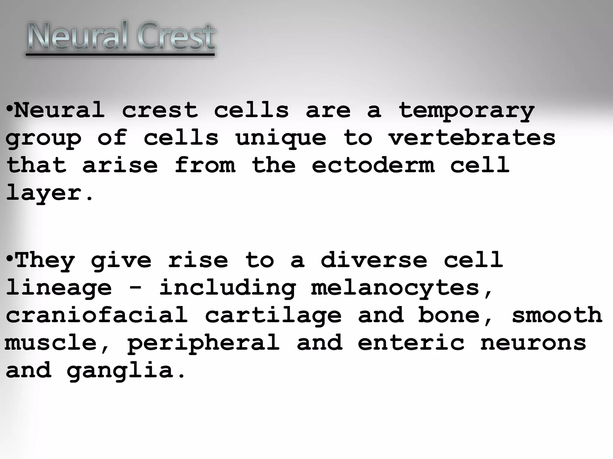 •Neural crest cells are a temporary
group of cells unique to vertebrates
that arise from the ectoderm cell
layer.
•They give rise to a diverse cell
lineage - including melanocytes,
craniofacial cartilage and bone, smooth
muscle, peripheral and enteric neurons
and ganglia.
 