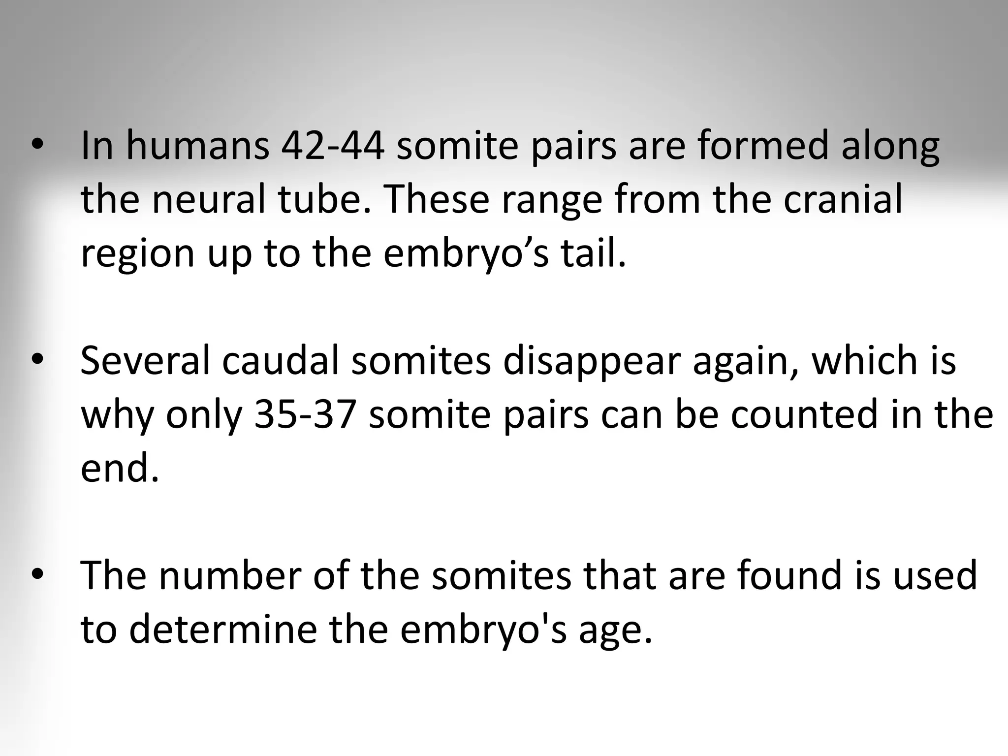 • In humans 42-44 somite pairs are formed along
the neural tube. These range from the cranial
region up to the embryo’s tail.
• Several caudal somites disappear again, which is
why only 35-37 somite pairs can be counted in the
end.
• The number of the somites that are found is used
to determine the embryo's age.
 