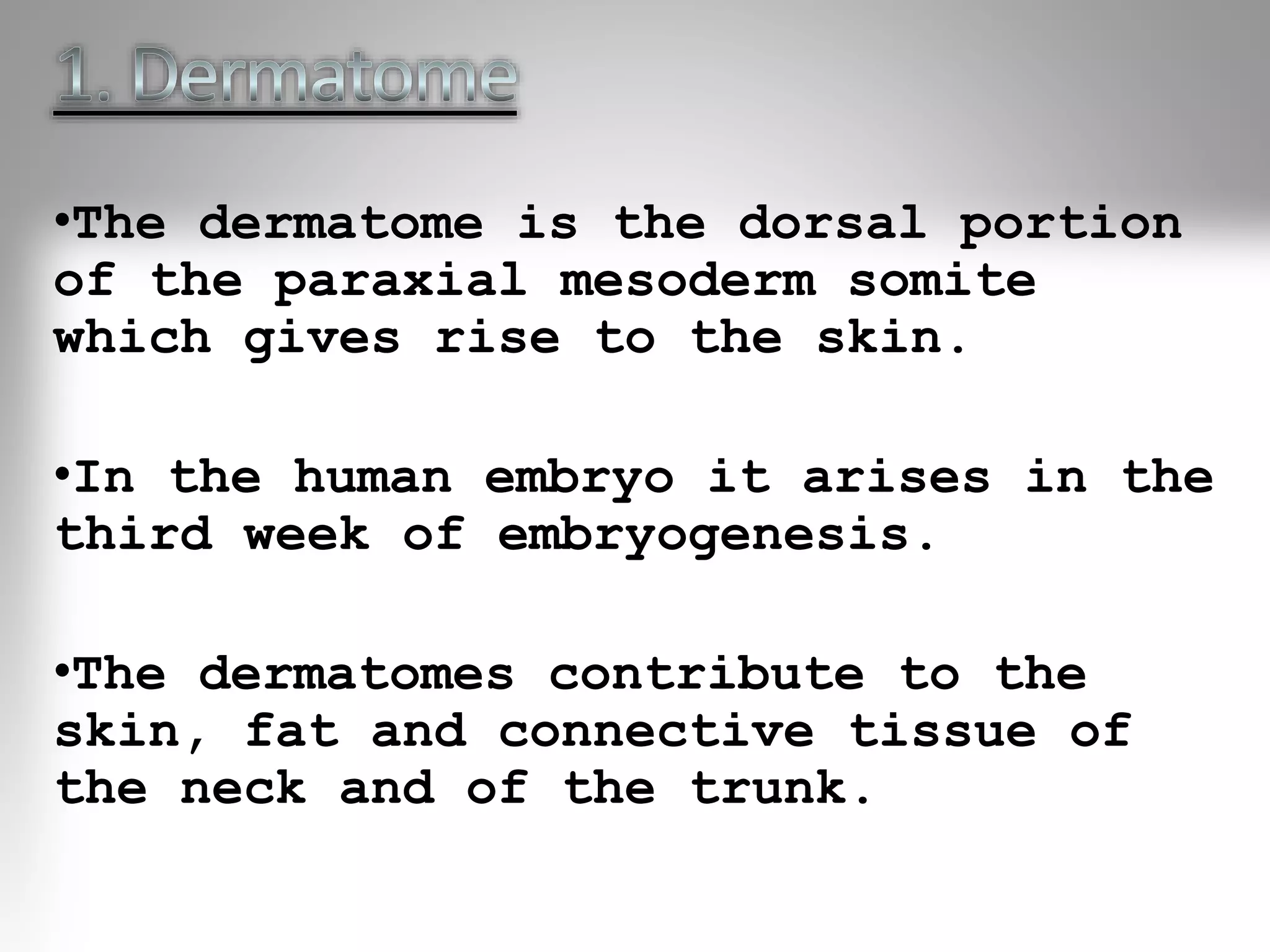 •The dermatome is the dorsal portion
of the paraxial mesoderm somite
which gives rise to the skin.
•In the human embryo it arises in the
third week of embryogenesis.
•The dermatomes contribute to the
skin, fat and connective tissue of
the neck and of the trunk.
 