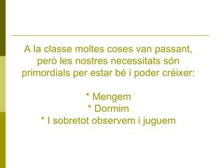 A la classe moltes coses van passant,
però les nostres necessitats són
primordials per estar bé i poder créixer:
* Mengem
* Dormim
* I sobretot observem i juguem

 