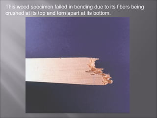 This wood specimen failed in bending due to its fibers being
crushed at its top and torn apart at its bottom.
 