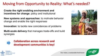 Enhancing SOC sequestration: myth or reality in Africa?