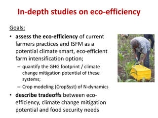 Eco efficiency of Integrated Soil Fertility Management in Western Kenya  Sommer et al 2014