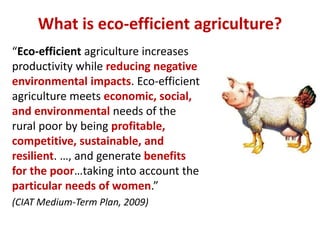 Eco efficiency of Integrated Soil Fertility Management in Western Kenya  Sommer et al 2014