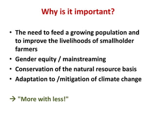 Eco efficiency of Integrated Soil Fertility Management in Western Kenya  Sommer et al 2014