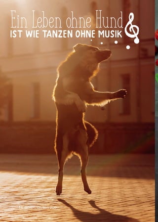 14 QCHEFS Käseblatt 2020
EinLebenohneHundist wie Tanzen ohne Musik
 