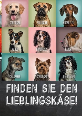 17
FINDEN SIE DEN
LIEBLINGSKÄSE!
SCHLINGERKNABBERER NICHTKAUER
KNABBERER
SCHLINGER
KAUER
KNABBERERSCHLINGER
KAUER
 