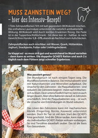 25QCHEFS Käseblatt 2020
1 Tüte Zahnputzflocken 1:1 mit kalt gepresstem BIOKokosöl mischen.
Die enthaltene Laurinsäure unterstützt die natürlich antibakterielle
Wirkung. BIOKokosöl wird durch leichtes Erwärmen flüssig. Die Paste
ist in der Tupperbox/Kühlschrank - bis diese leer ist - haltbar. Je nach
GewichtIhresHundes1,5–3TLabendsalsNachtischzumAufschlecken.
Zahnputzflocken auch mischbar: mit Wasser, Quark, Hüttenkäse,
Joghurt, Snackpaste, Futter oder Lieblingsleckerei.
So klappt es! - es muss sich gut und ausreichend im Mund verteilen
– dann kann es wirken. Die doppelte QCHEFS Ration und auch 2 x
täglich nach dem Füttern zeigt schneller Ergebnisse.
Muss Zahnstein weg?
-hierdasIntensiv-Rezept!
Was passiert genau?
Der Mundgeruch ist nach einigen Tagen weg. Die
Mundflora kommt in Balance. Die Immunabwehr wird
mit Naturvitaminen und Mineralien aufgebaut. Die
Ursache für den Zahnstein - die Plaquebakterien - sind
reduziert.DerZahnsteinbeginnt-meistnach6Wochen-
sichzulösen.Daerunterschiedlichhartist,kannesauch
längerdauern.AberohneBakteriendarauf,istZahnstein
unschädlich. Sind die Plaquebakterien weg – ist auch
die Ursache von Entzündungen im Mund reduziert.
Das Lösen des Zahnsteins kann mit mechanischem
Abrieb (Fingerling, Bürste, Kauwerk) unterstützt
werden. Doch Ihr Tier ist mit dem Start des QCHEFS
Käse geschützt. Sind die Zähne sauber, kann man mit
der individuellen QCHEFS Ration wirksam vorbeugen.
So sind Tierzähne dauerhaft sauber. Das ist die Basis
fürs Gesundsein.
 