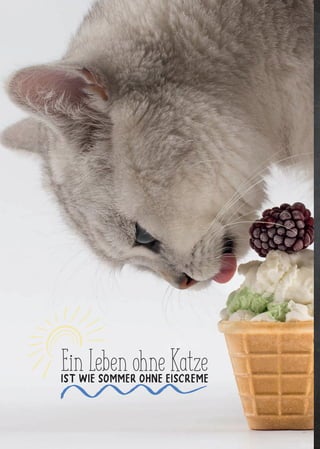 EinLebenohneKatzeist wie Sommer ohne Eiscreme
 
