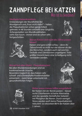 28 QCHEFS Käseblatt 2020
Häufigste Katzenkrankheit:
Entzündungen der Mundhöhle! Bei
Mundgeruch und„frisst nicht mehr!“ – haben
die Plaquebakterien schon ganze Arbeit
geleistet. In 48 Stunden entsteht eine Gingivitis.
Anfangsstadien von Mundkrankheiten
sieht man kaum - immer sind sie schon sehr
fortgeschritten.
Warum Katzen sich nicht die Zähne putzen
lassen?
Katzen sind ganz schön schlau – denn ihr
Zahnschmelz ist nicht nur viel dünner als der
des Menschen, sondern auch viel weicher.
Deshalb sind Zahnbürsten ungeeignet. Trotz
größter Vorsicht kann eine Schädigung nicht
vermieden werden.
Wurzel fast allen Übels! - Plaquebakterien!
Bei allen Mundentzündungen sind sie
krankmachende Ursache.
Besonders tragisch ist, dass Katzen sehr
schnell und schmerzhafte Krankheitsbilder
entwickeln – meist lange unbemerkt mit
gesundheitlichen Folgen.
Bisher waren Katzen hilflos ausgeliefert!
Bei Katzen mit der Bürste putzen – besser
nicht! Chlorhexidin ist keine Alternative
und das spezielle Dentalfutter belastet
mit Phosphor die Nieren. Durch weniger
Stress werden auch keine Plaquebakterien
reduziert- so erkranken 80 % der Katzen über
3 Jahren.
Zahnpflege bei Katzen
Wasistzubeachten?
 
