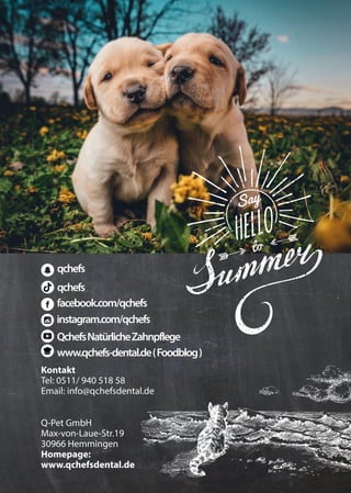 facebook.com/qchefs
qchefs
QchefsNatürlicheZahnpflege
www.qchefs-dental.de(Foodblog)
instagram.com/qchefs
Q-Pet GmbH
Max-von-Laue-Str.19
30966 Hemmingen
Homepage:
www.qchefsdental.de
Kontakt
Tel: 0511/ 940 518 58
Email: info@qchefsdental.de
qchefs
 