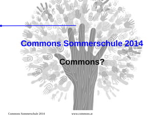 Commons Sommerschule 2014 www.commons.at
Commons Sommerschule 2014
Commons?
 