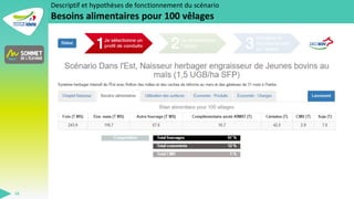 SOMMET DE L'ELEVAGE 2023
18
Descriptif et hypothèses de fonctionnement du scénario
Besoins alimentaires pour 100 vêlages
 
