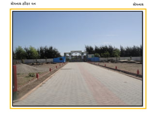 સોમનાથસોમનાથ હ�રહર વન
 