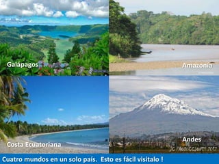 Amazonía
Andes
Cuatro mundos en un solo país. Esto es fácil visitalo !
Galápagos
Costa Ecuatoriana
JC PRODUCTIONS
 
