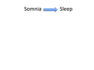 Somnia   Sleep
 