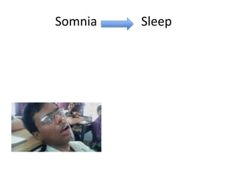 Somnia   Sleep
 