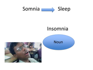 Somnia       Sleep


         Insomnia

           Noun
 