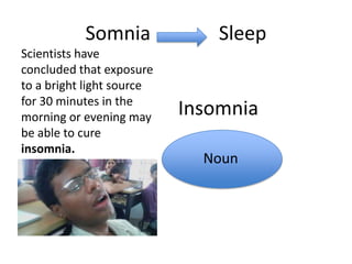 Somnia              Sleep
Scientists have
concluded that exposure
to a bright light source
for 30 minutes in the
morning or evening may     Insomnia
be able to cure
insomnia.
                             Noun
 