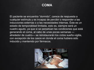 COMA
El paciente se encuentra “dormido”, carece de respuesta a
cualquier estímulo y es incapaz de percibir o responder a las
inducciones externas o a las necesidades internas. Éste es un
estado de temporalidad limitada, esto es, siempre será un
cuadro agudo, ya que si se perpetúan las condiciones que está
generando el coma, al cabo de unas pocas semanas —
alrededor de cuatro— se reinstaurarán los ciclos sueño-vigilia,
con excepción de los casos en donde el coma hubiera sido
inducido y mantenido por fármacos.
 