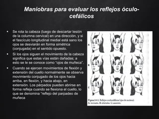Maniobras para evaluar los reflejos óculo-
cefálicos
 Se rota la cabeza (luego de descartar lesión
de la columna cervical) en una dirección, y si
el fascículo longitudinal medial está sano los
ojos se desviarán en forma simétrica
(conjugada) en el sentido opuesto.
 Si los ojos siguen el movimiento de la cabeza
significa que estas vías están dañadas; a
esto se le se conoce como “ojos de muñeca”.
 Cuando se ejercen movimientos de flexión y
extensión del cuello normalmente se observa
movimiento conjugado de los ojos hacia
arriba, en flexión, y hacia abajo, en
extensión. Los párpados pueden abrirse en
forma refleja cuando se flexiona el cuello, lo
que se denomina “reflejo del parpadeo de
muñeca
 