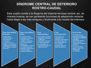SÍNDROME CENTRAL DE DETERIORO
ROSTRO-CAUDAL
Este cuadro remite a la filogenia del sistema nervioso central; así, de
manera inversa, se van perdiendo funciones de adquisición reciente
hasta llegar a las más antiguas y finalmente a la muerte del individuo.
Fase diencefálica
temprana
•pérdida de la
concentración y
somnolencia
progresiva
•La respiración es
regular, con suspiros
y bostezos frecuentes
hasta llegar al estado
de coma.
Fase diencefálica
tardía
•El paciente está
comatoso, El patrón
respiratorio se
modifica a periódico
de Cheyne-Stokes
•Rigidez de
decorticación”, donde
es característica la
disfunción piramidal y
el reflejo plantar
extensor (Babinski).
Fase
mesencefálica
•Las pupilas se tornan
irregulares, adoptan
un diámetro
intermedio y pierden
el reflejo fotomotor.
•se manifiesta por
“rigidez extensora de
descerebración”
Fase
protuberancial
•Las pupilas se
mantienen en
posición intermedia y
sin reactividad a la
luz. El paciente se
torna flácido
•muestra signo de
Babinski bilateral.
Fase bulbar
•Se distingue por
respiración irregular y
lenta llamada atáxica
o de Biot,
hipotensión arterial,
pulso irregular y
pupilas con midriasis
paralítica.
•Ya no es posible
detectar signos de
focalización
neurológica
 