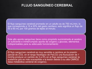 FLUJO SANGUÍNEO CEREBRAL
El flujo sanguíneo cerebral promedio en un adulto es de 750 mL/min, lo
que corresponde a 15 a 20% del gasto cardiaco; esto significa un flujo de
50 a 60 mL por 100 gramos de tejido al minuto.
Este alto aporte sanguíneo tiene como propósito suministrarle al cerebro
un suficiente e ininterrumpido aporte de oxígeno y glucosa, elementos
indispensables para su adecuado funcionamiento
El flujo sanguíneo cerebral es muy sensible a cambios en la presión
parcial de CO2, en el rango fisiológico de PaCO2 una fluctuación de 1
mmHg produce un cambio de 3 a 4% en el flujo sanguíneo cerebral; la
sustancia gris es más susceptible a la lesión debido a su alta CMRO2
(tasa metabólica cerebral de oxígeno).
 