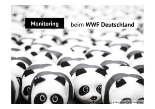 Relevanz vor Reichweite WWF Deutschland
Monitoring
beim

© Peter Jelinek / WWF Deutschland

 