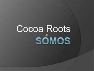 Cocoa Roots

 