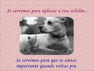 Se servimos para aplacar a tua solidão... Se servimos para que te sintas importante quando voltas pra casa... 
