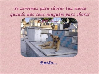 Se servimos para chorar tua morte quando não tens ninguém para chorar por ti... Então... 