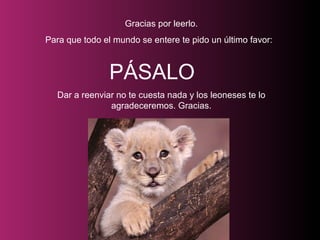 Gracias por leerlo. Para que todo el mundo se entere te pido un último favor:    PÁSALO Dar a reenviar no te cuesta nada y los leoneses te lo agradeceremos. Gracias. 