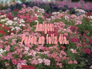 Amigos: Pasen un felíz día. 
