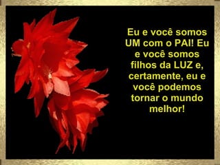 Eu e você somos UM com o PAI! Eu e você somos filhos da LUZ e, certamente, eu e você podemos tornar o mundo melhor! 