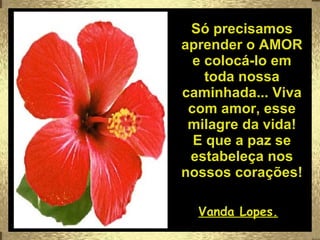 Só precisamos aprender o AMOR e colocá-lo em toda nossa caminhada... Viva com amor, esse milagre da vida! E que a paz se estabeleça nos nossos corações! Vanda Lopes. 